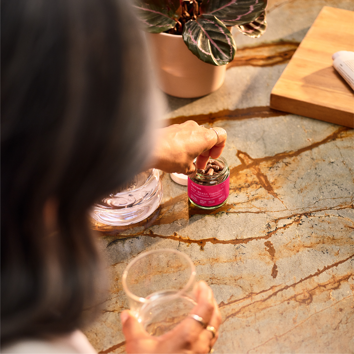 The Brain Capsules for Cognitive Function