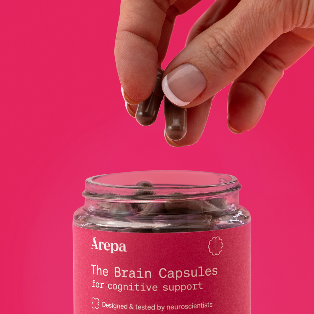 The Brain Capsules for Cognitive Function