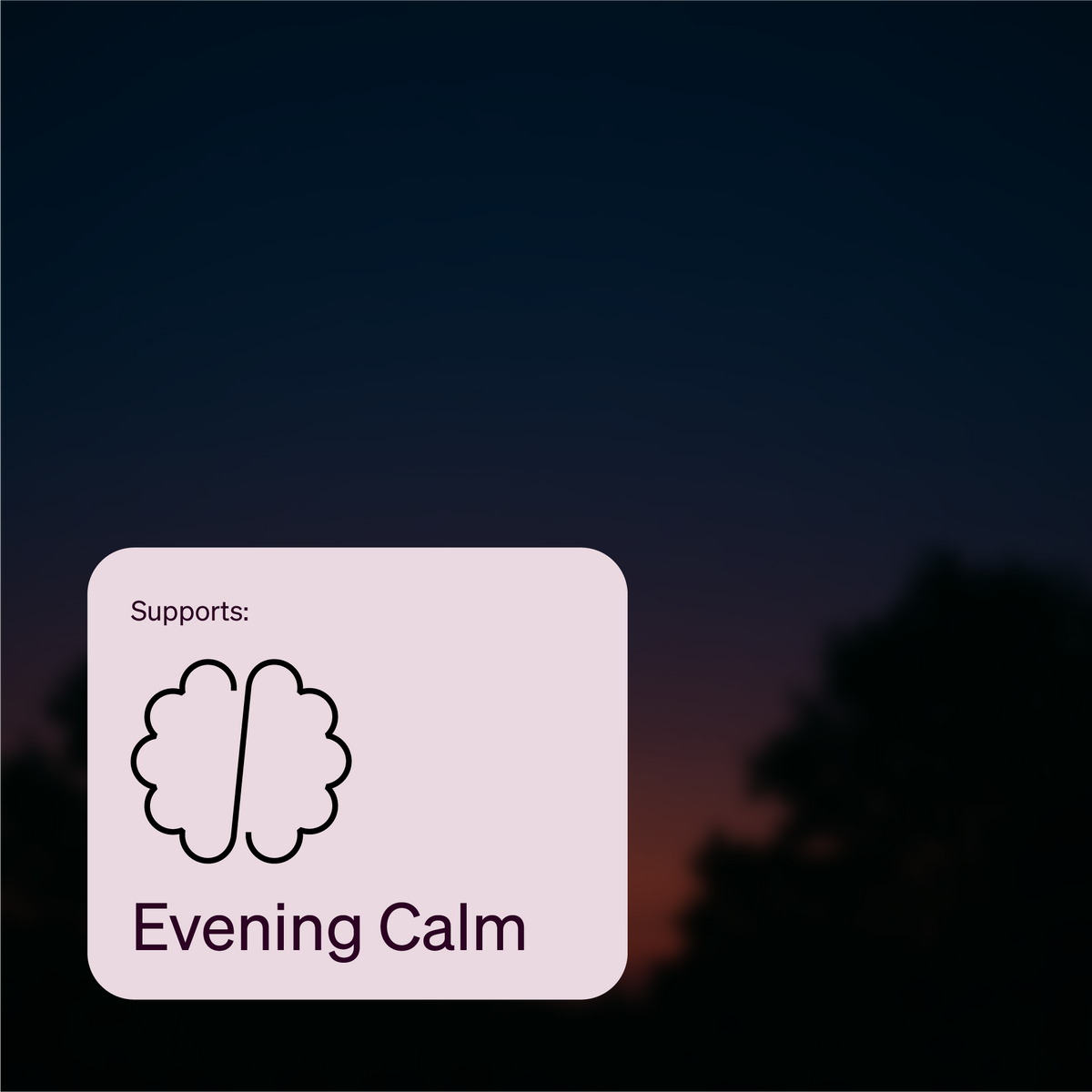 SALE - The Brain Capsules for Sleep Support