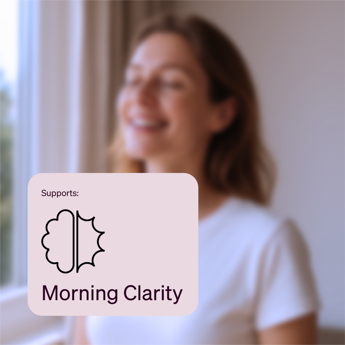 SALE - The Brain Capsules for Sleep Support